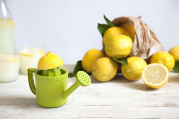 Lemoniere - מסחטת מיץ לימון. מתנות לפסח 2020, מתנות לחג לעובדים