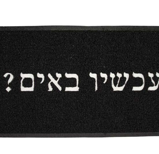 שטיח כניסה - עכשיו באים?!