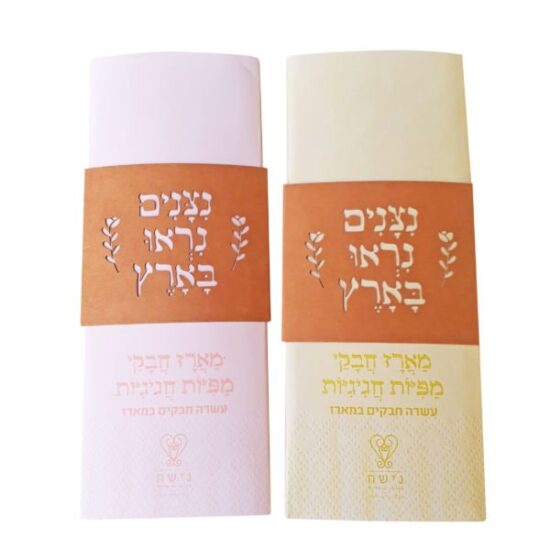 מארזים לחג הפסח, משלוח מתנות לחג הפסח, מתנות לחג פסח משלוחים, מארזי חג, מתנה לפסח לעובדים, מתנות יוקרתיות לפסח, שי לחג הפסח, מתנה לאמא לחג הפסח, מתנות לילדים לחג הפסח, חבילות שי לפסח, מארזים לחג