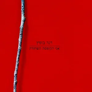גרין קווין : ספר שירים אני הקופסה השחורה