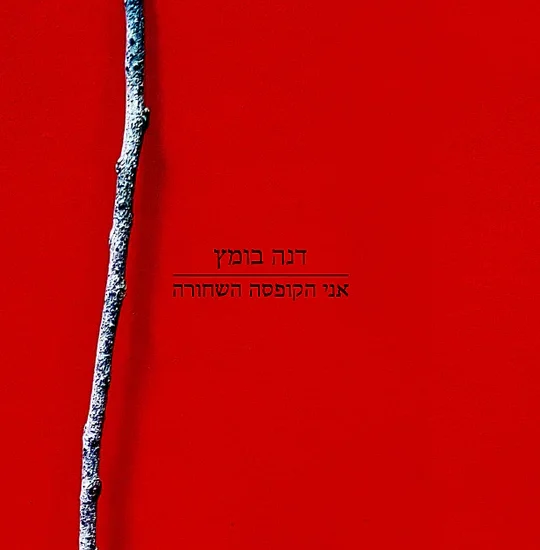 גרין קווין : ספר שירים אני הקופסה השחורה