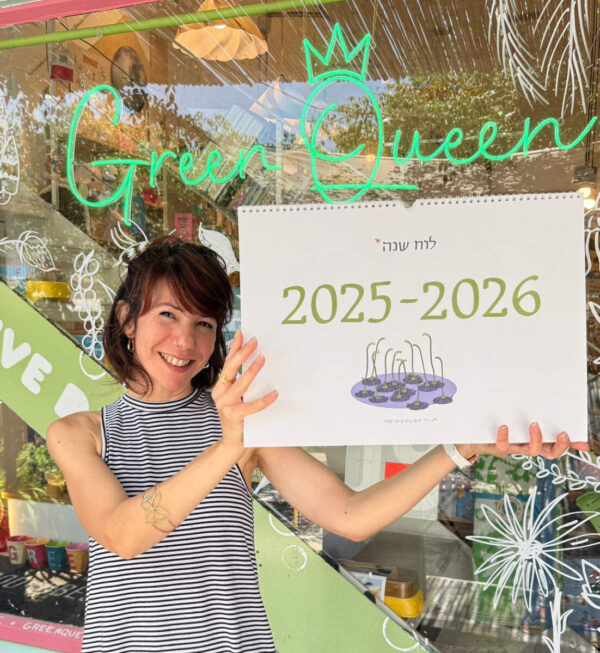 גרין קווין, חנות מתנות: לוח שנה סופי 2025-2026