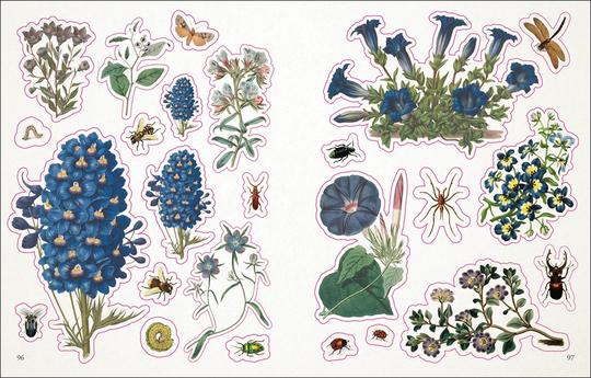 GREEN QUEEN - חוברת מדבקות The Botanist's Sticker Anthology