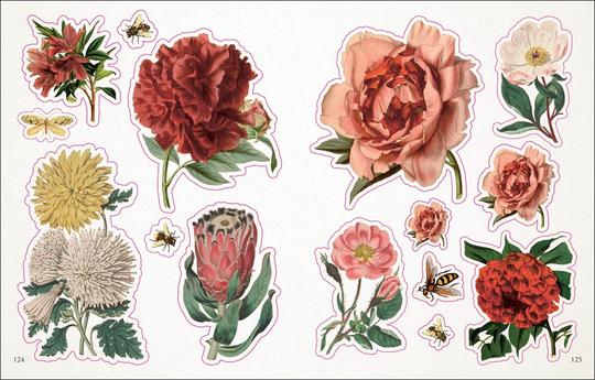 GREEN QUEEN - חוברת מדבקות The Botanist's Sticker Anthology