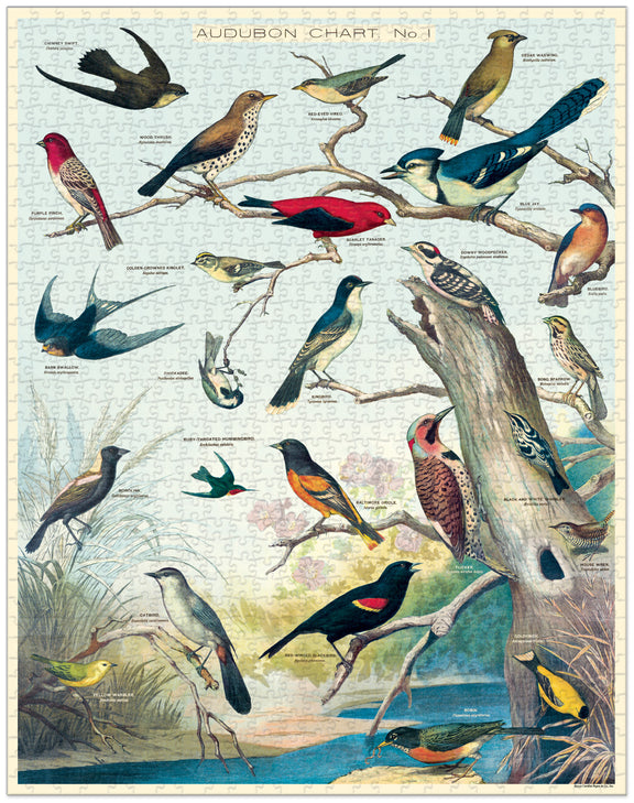 GREEN QUEEN - פאזל 1000 חלקים: Birds by Cavallini & Co
