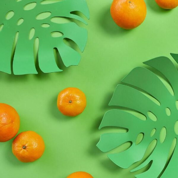 Green Queen | חנות עיצוב: קערת פירות דקורטיבית עלה מונסטרה.