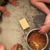 GREEN QUEEN | מתנה לחג: משחקים קלפים: משפחה PlayHouse