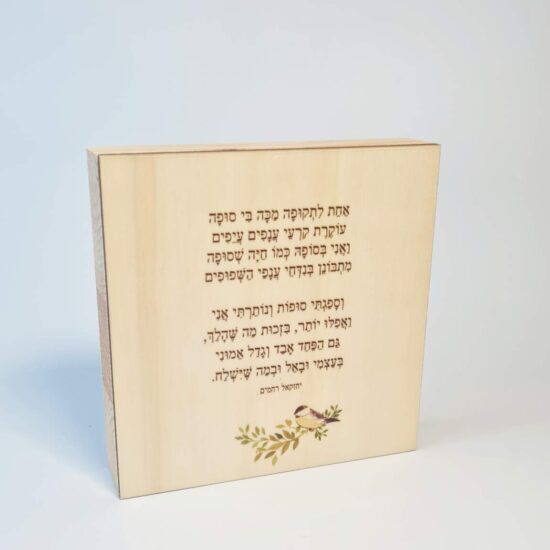 אקססוריז אונליין, אקססוריז לאמבטיה, אקססוריז לבית, גאדג’טים לבית, גאדג’טים לגבר, גאדג’טים למטבח, גאדג’טים מגניבים, חנויות עיצוב לבית, חנות אקססוריז, חנות עיצוב, חנות עיצוב הבית, חפצי נוי לעיצוב הבית, שלט לדלת