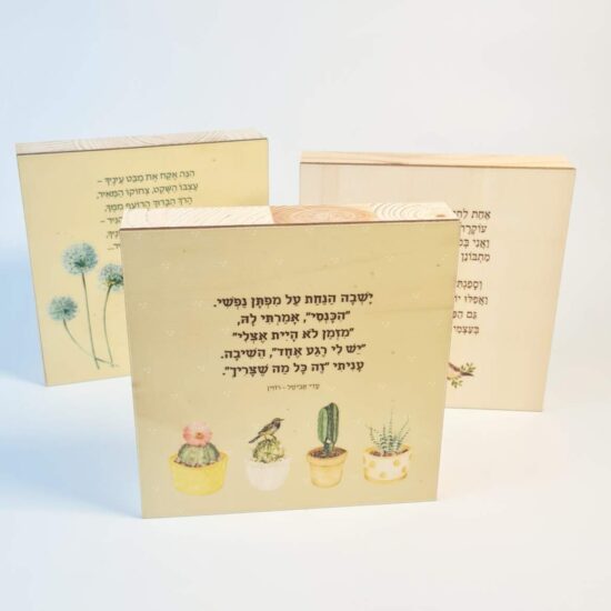 אקססוריז אונליין, אקססוריז לאמבטיה, אקססוריז לבית, גאדג’טים לבית, גאדג’טים לגבר, גאדג’טים למטבח, גאדג’טים מגניבים, חנויות עיצוב לבית, חנות אקססוריז, חנות עיצוב, חנות עיצוב הבית, חפצי נוי לעיצוב הבית, שלט לדלת