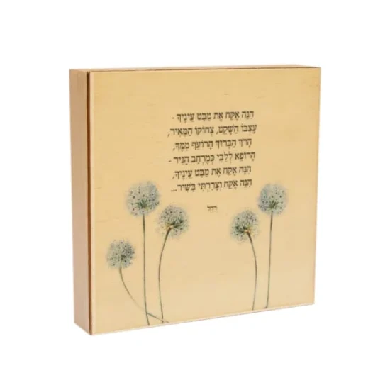 Green Queen מתנות: שיר במתנה – מבט עיניך (רחל), מתנת יום הולדת
