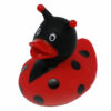 גרין קווין מתנות: ברווז BEETLE. מתנות ליום הולדת, מתנה ליום הולדת