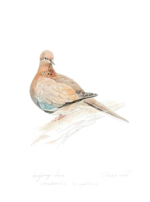 Green Queen | חנות עיצוב: פרינט צוצלת | laughing dove