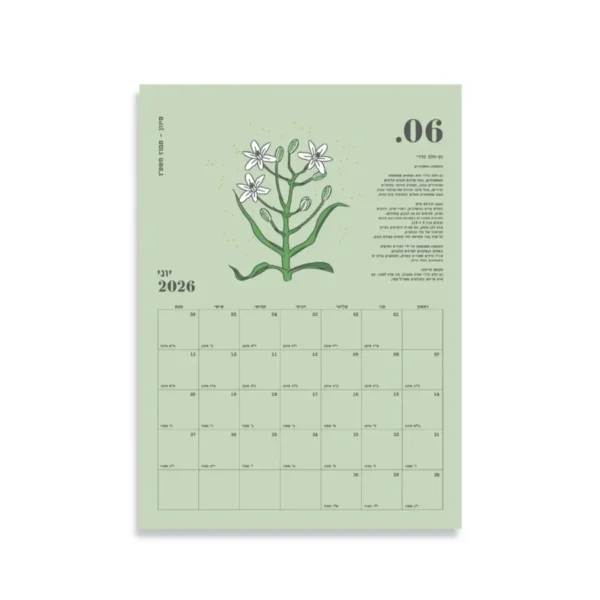 גרין קווין, חנות מתנות: לוח שנה לתלייה 2025-2026: Israeli Wildflowers