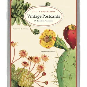 גרין קווין מתנות ליום הולדת: סט גלויות, מארז כרטיסי ברכה