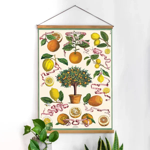 Green Queen | חנות מתנות: פוסטר: L'Orangerie