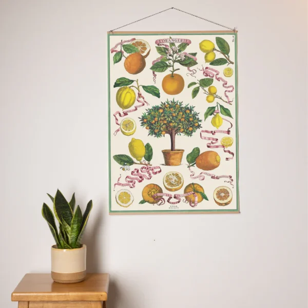 Green Queen | חנות מתנות: פוסטר: L'Orangerie
