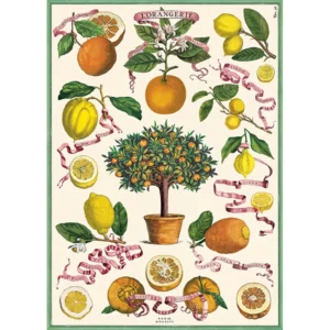 Green Queen | חנות מתנות: פוסטר: L'Orangerie