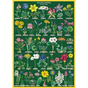 Green Queen | חנות מתנות: פוסטר: Wildflowers V2