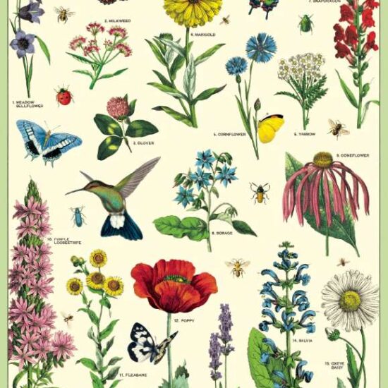 Green Queen | פוסטר: Pollinators