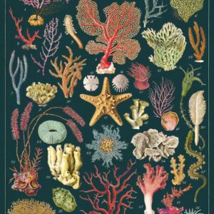 Green Queen |פוסטר: Ocean Flora