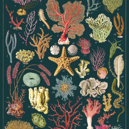 Green Queen |פוסטר: Ocean Flora