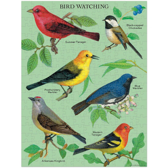 מיני פאזל Bird Watching חלקי הפאזל
