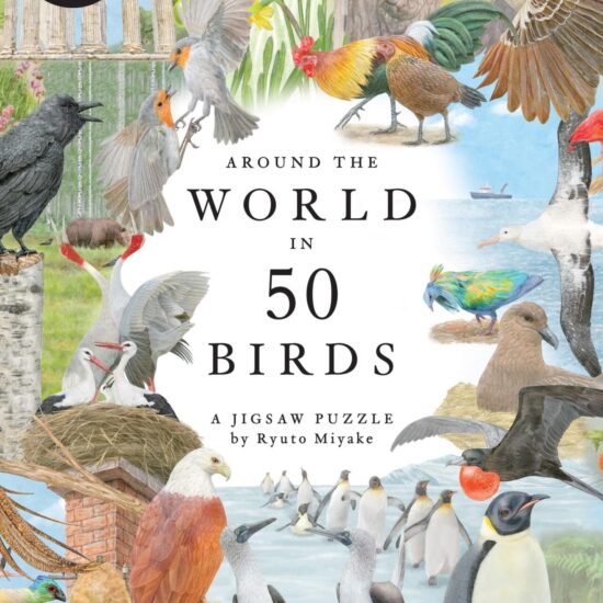 גרין קווין חנות מתנות ועיצוב: פאזל 1000 חלקים Around the World in 50 Birds מבית Laurence King - איורי ציפורים