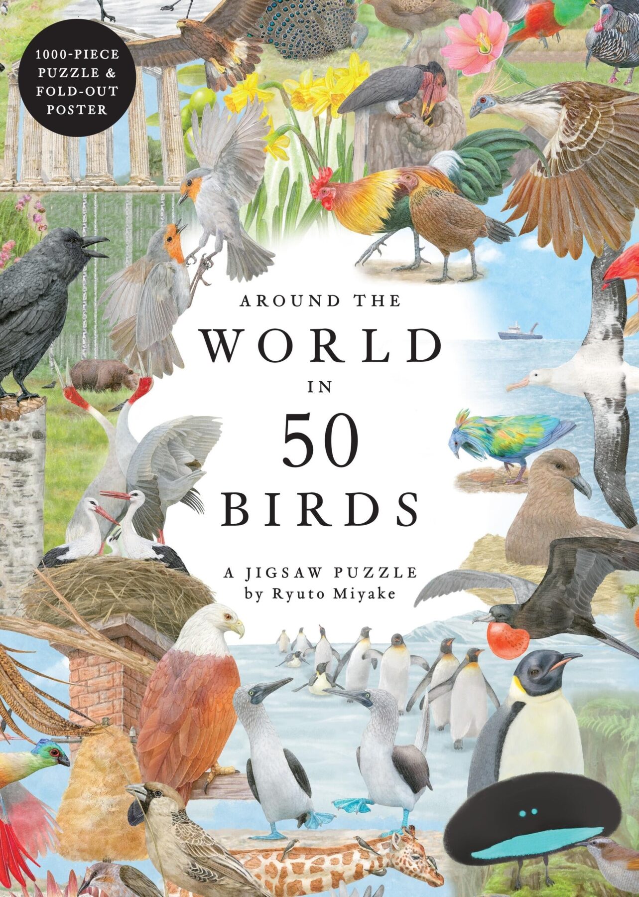 גרין קווין חנות מתנות ועיצוב: פאזל 1000 חלקים Around the World in 50 Birds מבית Laurence King - איורי ציפורים