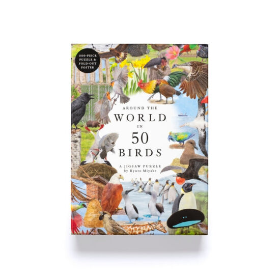 פאזל 50 Birds קטע מהפאזל המורכב