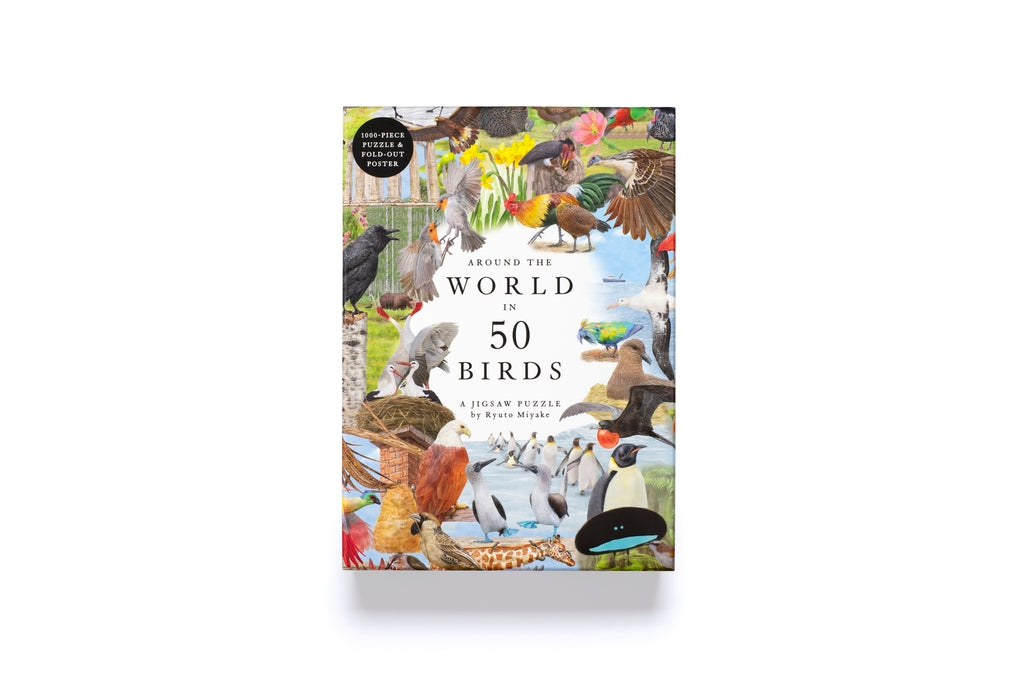 גרין קווין חנות מתנות ועיצוב: פאזל Around the World in 50 Birds - קטע מהאיור המורכב